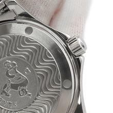 将图像加载到图库查看器中，OMEGA Seamaster W36.25mm Stainless Steel Silver Dial2501.31.00
