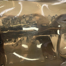 将图像加载到图库查看器中，PRADA Crystal Tote Bag Beige/Transparent Plastics Canvas
