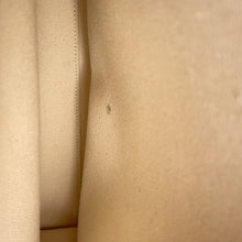 将图像加载到图库查看器中，CELINE Vertical hippopotamus Natural/Tan192082 Canvas Leather Size Small
