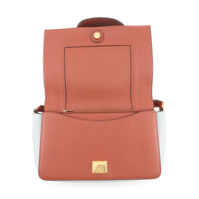 Load image into Gallery viewer, CELINE Frame Shoulder Bag Light Blue/Brown180263 Leather
