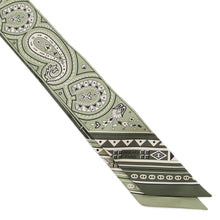 Load image into Gallery viewer, HERMES Twilly Festival des Amazones Bandana - The Amazon Festival and Bandana Pistachio / White / BlackH064217S 07 Silk100%
