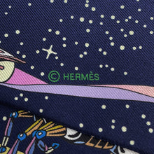 将图像加载到图库查看器中，HERMES Twilly Space Derby Marine/Rose/Multicolor Silk100%
