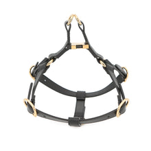 将图像加载到图库查看器中，GUCCI Interlocking G Pet Harness Black692963 Leather Size M

