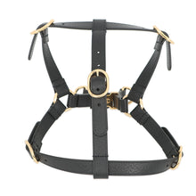 将图像加载到图库查看器中，GUCCI Interlocking G Pet Harness Black692963 Leather Size M
