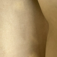 Load image into Gallery viewer, LOUIS VUITTON Grand Palais TourterelleM45833 Monogram Empreinte Leather Size MM
