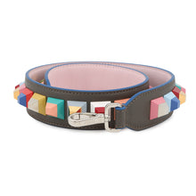 将图像加载到图库查看器中，FENDI Strap you Gray/Multicolor Leather

