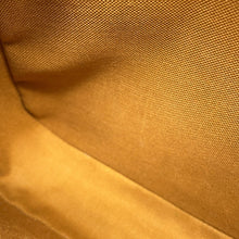 将图像加载到图库查看器中，CELINE Triomphe Camera Bag Brown/White191522 PVC Leather
