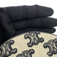 将图像加载到图库查看器中，CELINE Triomphe Round Purse Shoulder Bag Black/Ivory10G812CR1.38NO Canvas Leather
