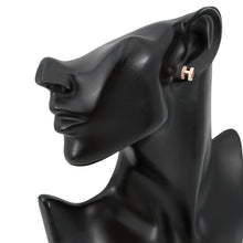 将图像加载到图库查看器中，HERMES Pop Ash Earrings Rocabar System White/Marron glacé Lacquer Gold Plated
