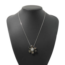 Load image into Gallery viewer, Van Cleef &amp; Arpels Rose de Noël Clip Pendant Size SmallVCARD30400 18K White Gold
