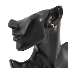 Load image into Gallery viewer, HERMES Pop Ash Earrings Rocabar Size Mini Galaxy Lacquer Gold Plated
