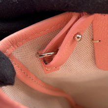 将图像加载到图库查看器中，GOYARD Poitiers Clairevoy Satchel Bag Pink PVC
