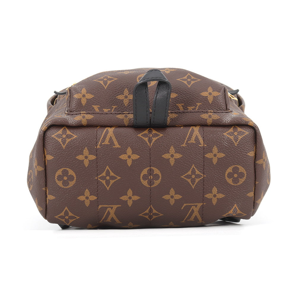 Louis Vuitton Palm Springs PM Backpack