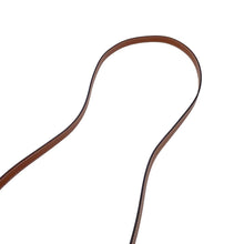 Load image into Gallery viewer, CELINE Triomphe Canvas Mini Vertical Canvas 2WAY Bag Tan194372 PVC Leather Size Mini
