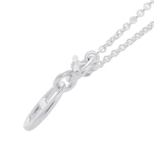 Load image into Gallery viewer, HERMES Chaine d'Ancre Amulette Necklace SV925
