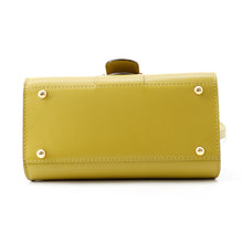 将图像加载到图库查看器中，Delvaux Brillon KiwiAA0406AAM062ADO Box Calf LeatherLeather Size Mini
