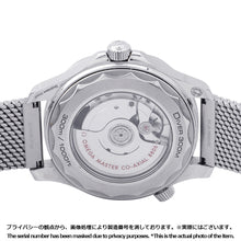 Load image into Gallery viewer, OMEGA Seamaster Diver 300m Co-Axial Master Chronometer W42mm Stainless Steel Gray Dial210.32.42.20.06.002
