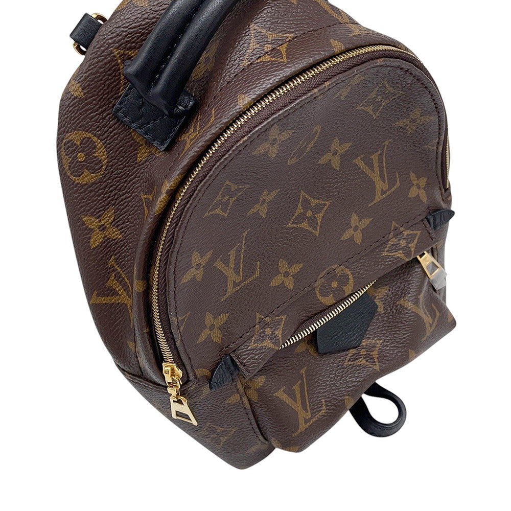 Louis Vuitton 2020 Monogram Palm Springs Mini Backpack