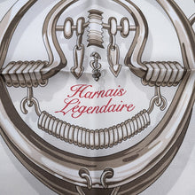 将图像加载到图库查看器中，HERMES Carre Legendary Harness Size 90 White/Blue Jean/Bois de Rose Silk100%
