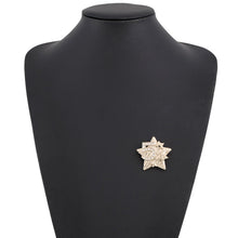 Load image into Gallery viewer, CHANEL Star motif 5 brooches Champagne Gold Metal Rhinestone

