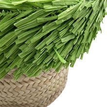 Load image into Gallery viewer, MIUMIU Palmit Tote Bag Green/Natural5BG209 Raffia
