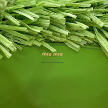 Load image into Gallery viewer, MIUMIU Palmit Tote Bag Green/Natural5BG209 Raffia
