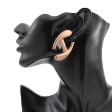 将图像加载到图库查看器中，HERMES Nautic Earrings Size GM Grès Lumière Aluminium
