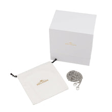 Load image into Gallery viewer, Delvaux Brillon Rumour Bag Charm WhiteAE0429AAM010DCM Box Calf Leather Size Mini
