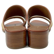 将图像加载到图库查看器中，CELINE Apolline Mules Beige/Tan 359902359C.02ET Raffia Leather Size 35
