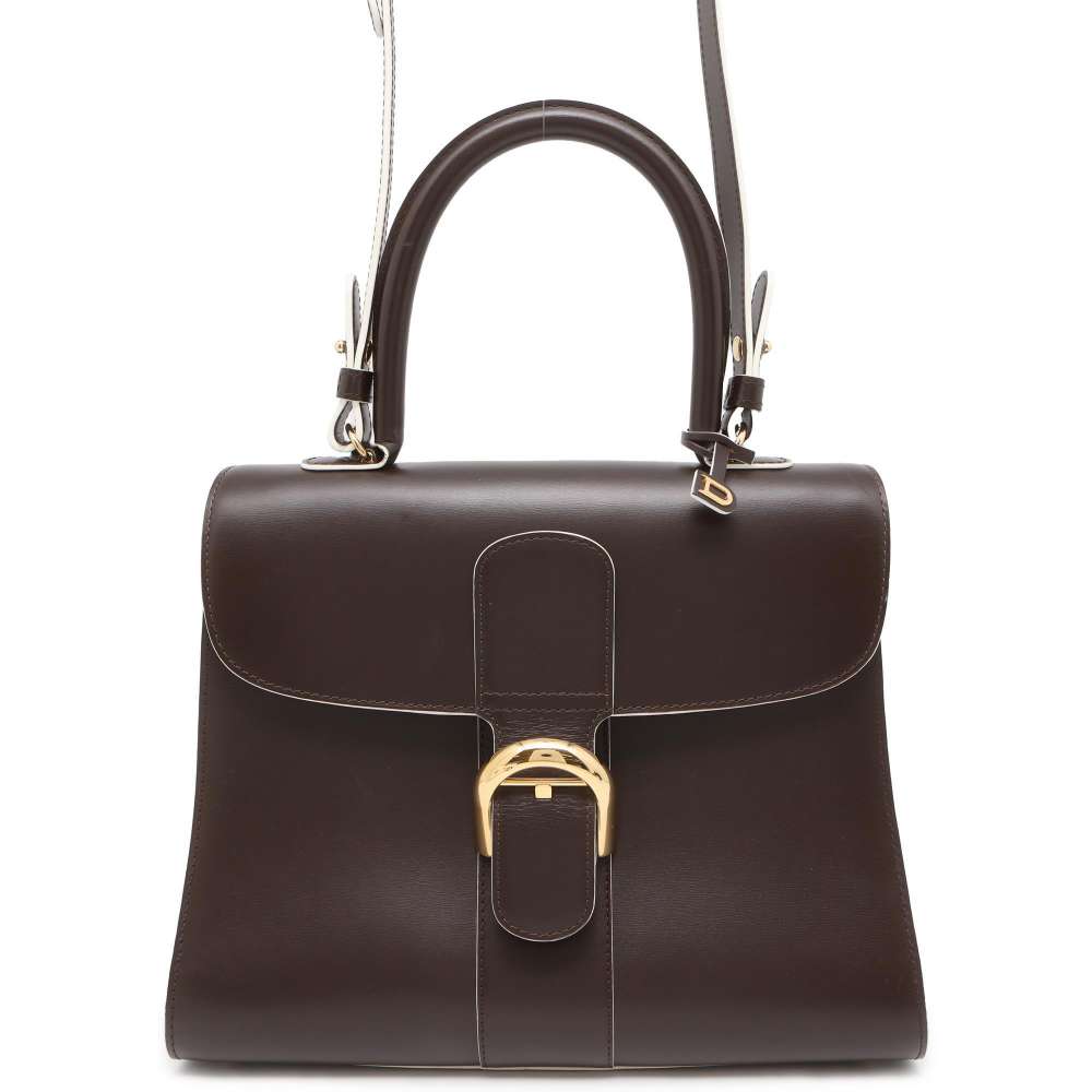 Delvaux Brillon 2WAY Handbag Brown Leather Size MM